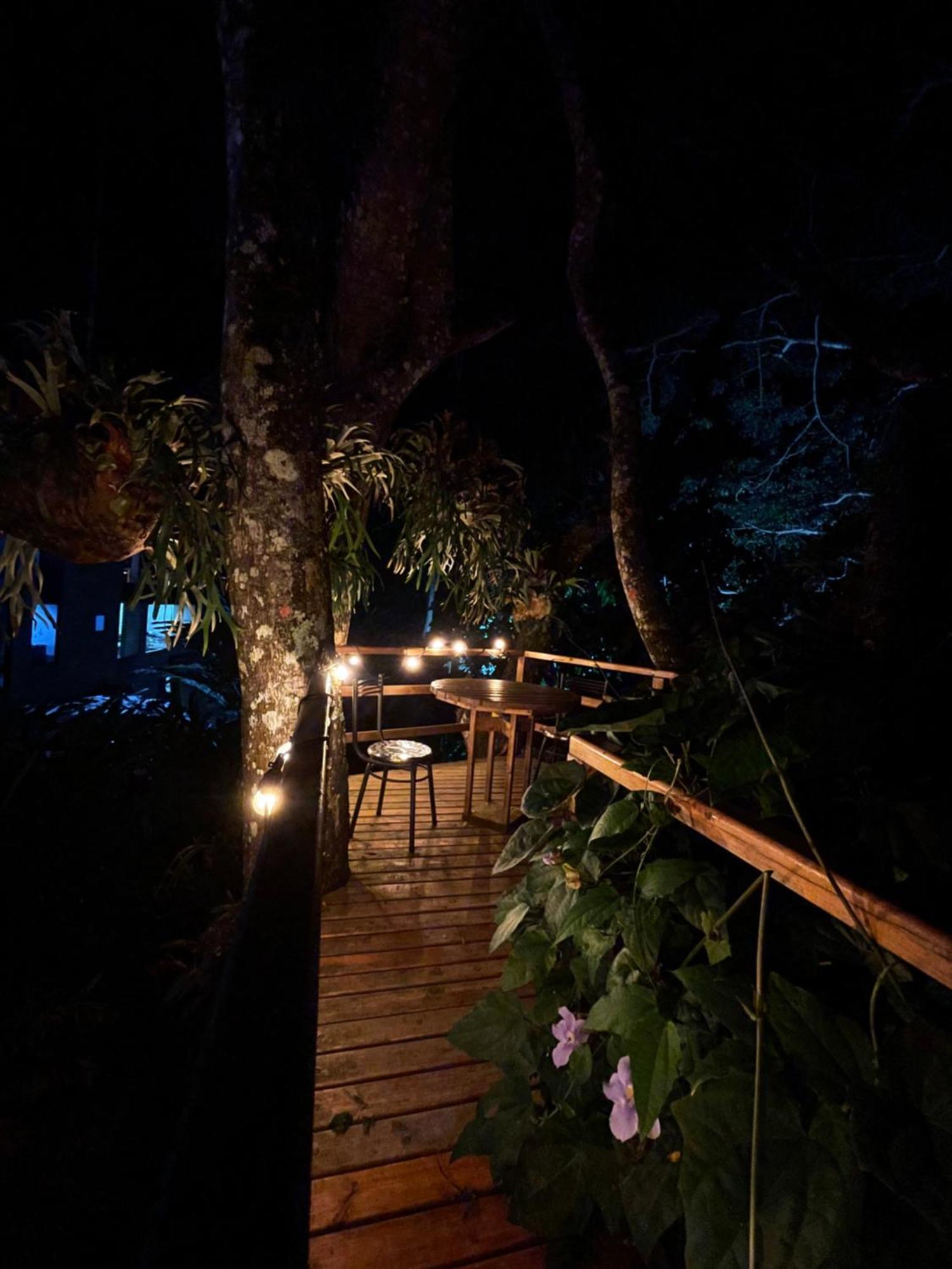 Home Boutique Natural Paradise La Vega  Zewnętrze zdjęcie