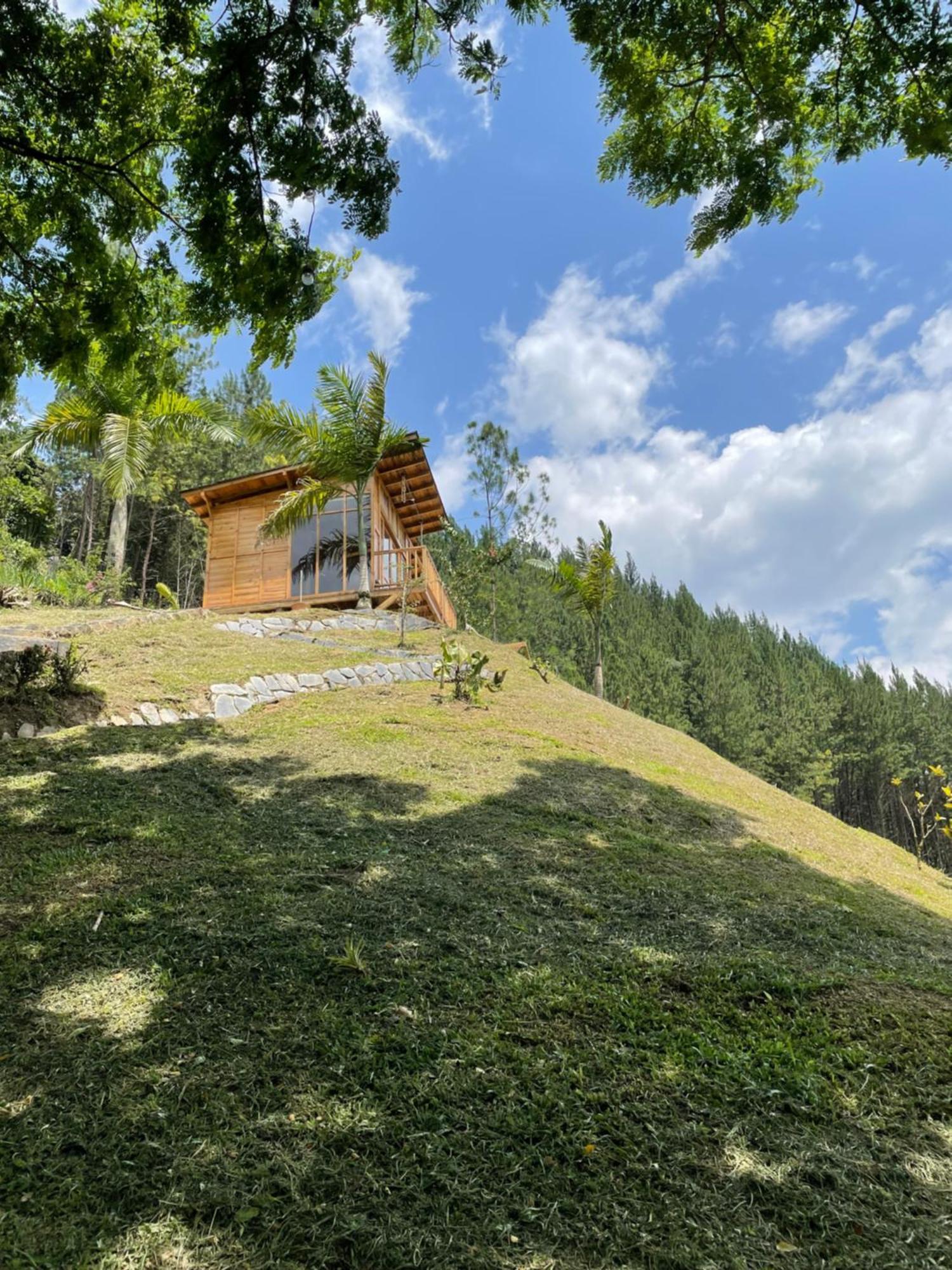 Home Boutique Natural Paradise La Vega  Zewnętrze zdjęcie
